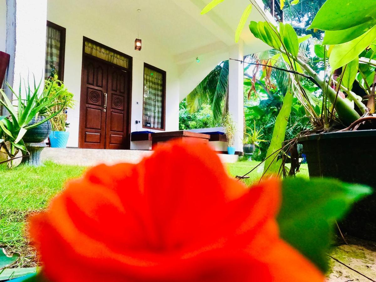 Mountain Seaview Cabanas Tangalle Dış mekan fotoğraf