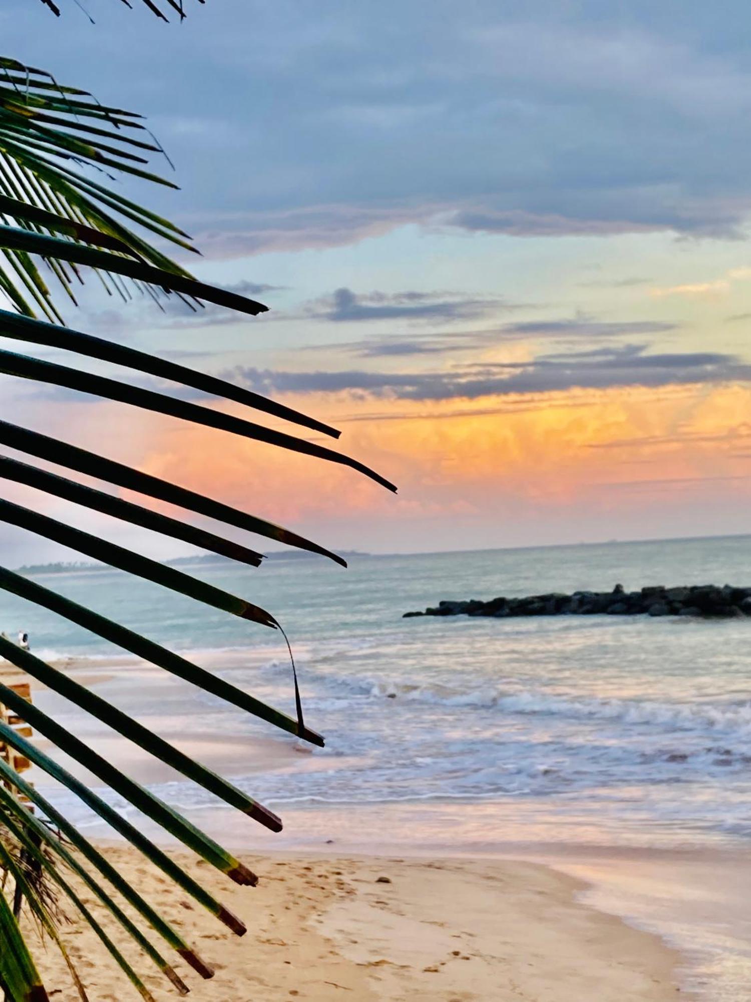 Mountain Seaview Cabanas Tangalle Dış mekan fotoğraf