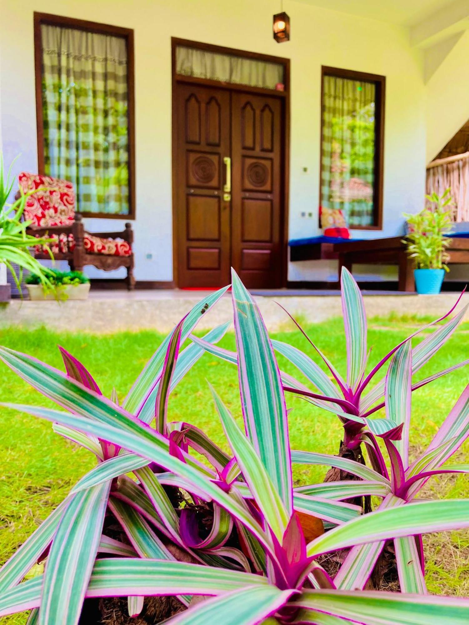 Mountain Seaview Cabanas Tangalle Dış mekan fotoğraf
